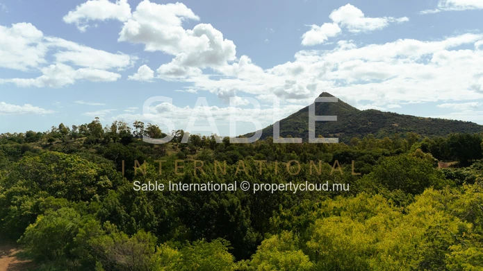 Terrain résidentiel de 2 110 m² à vendre à Rivière Noire