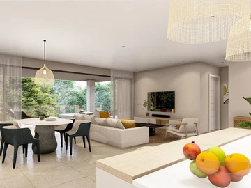 3 Bedroom Penthouse